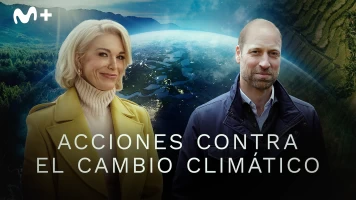 Acciones contra el cambio climático