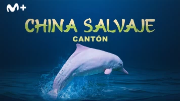 China Salvaje: Cantón