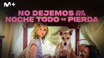 No dejemos que esta noche todo se pierda