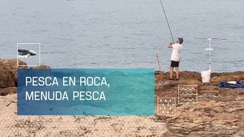Pesca en roca, menuda pesca