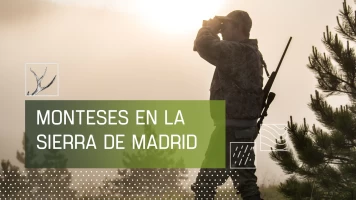 Monteses en la sierra de Madrid