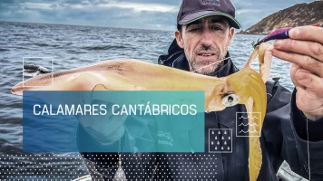 Calamares cantábricos