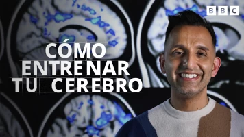 Cómo entrenar tu cerebro