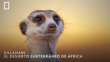 Kalahari: El desierto subterráneo de África