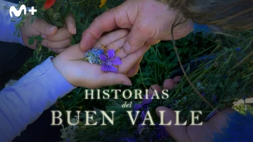 Historias del buen valle