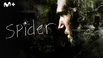 Spider