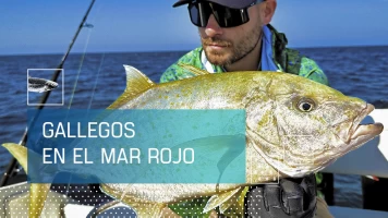 Gallegos en el Mar Rojo