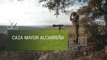 Caza mayor alcarreña