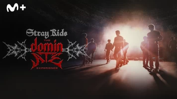 Stray Kids: The dominATE Experience