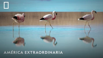 América extraordinaria