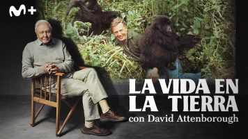 La vida en la Tierra con David Attenborough