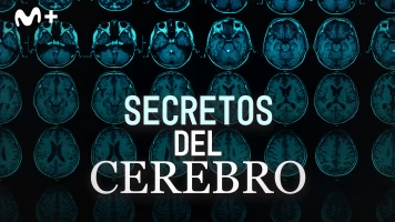 Secretos del cerebro
