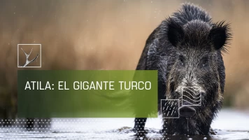 Attila, el gigante turco