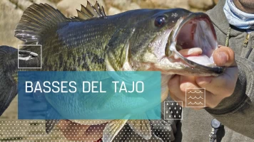 Basses del Tajo