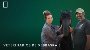 Veterinarios de Nebraska