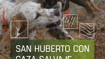 San Huberto con caza salvaje