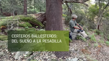 Certeros ballesteros:del sueño a la pesadilla