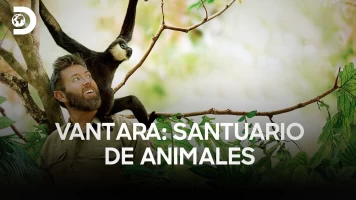 Vantara: santuario de animales