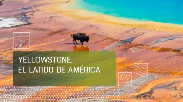 Yellowstone I. El latido de América