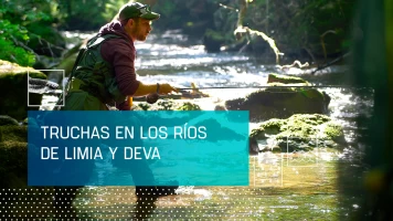 Truchas en los ríos Limia y Deva