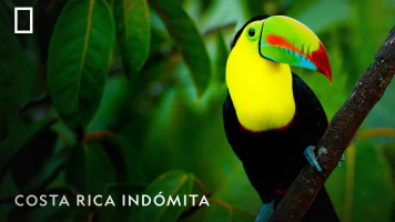Costa Rica Indómita