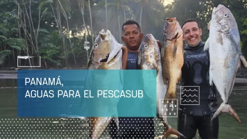 Panamá, aguas para el pescasub
