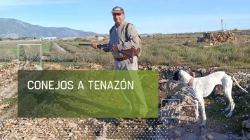 Conejos a tenazón