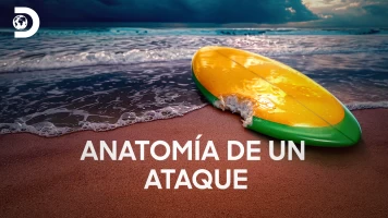 Anatomía de un ataque