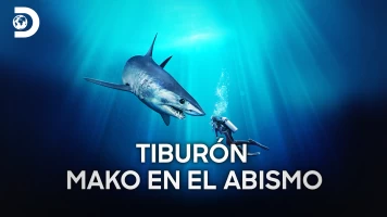 Tiburón Mako en el abismo