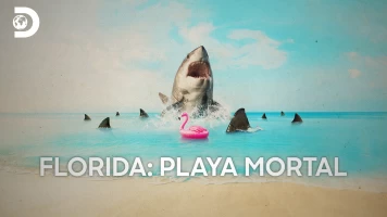Florida: playa mortal