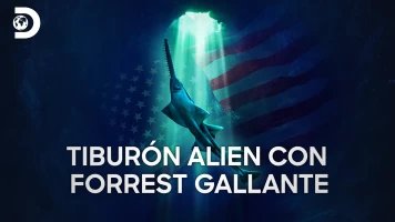 Tiburón Alien con Forrest Gallante