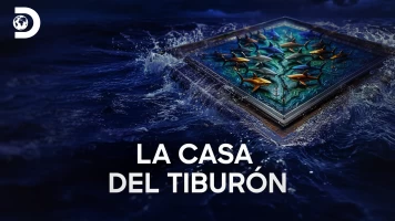 La casa del tiburón