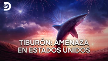 Tiburón: amenaza en Estados Unidos