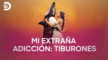 Mi extraña adicción: tiburones