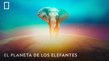 El planeta de los elefantes