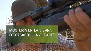 Montería en Casasolilla Sierra. Parte 2