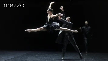 Preljocaj: El lago de los cisnes - Chaillot, Théâtre national de la danse