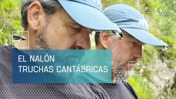 El Nalón, truchas cantábricas