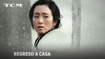 Regreso a casa - Coming Home
