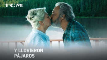 Y llovieron pájaros