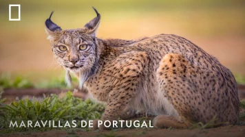 Maravillas de Portugal