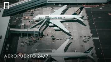Aeropuerto 24/7