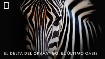 El delta del Okavango: el último oasis