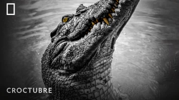 Croctubre