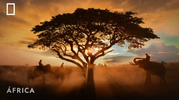 ÁFrica