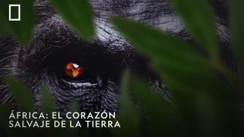 África: el corazón salvaje de la tierra