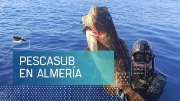 Pescasub en Almería