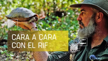 Cara a cara con el Rif