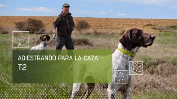Adiestrando para la caza
