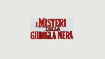 El misterio de la jungla negra